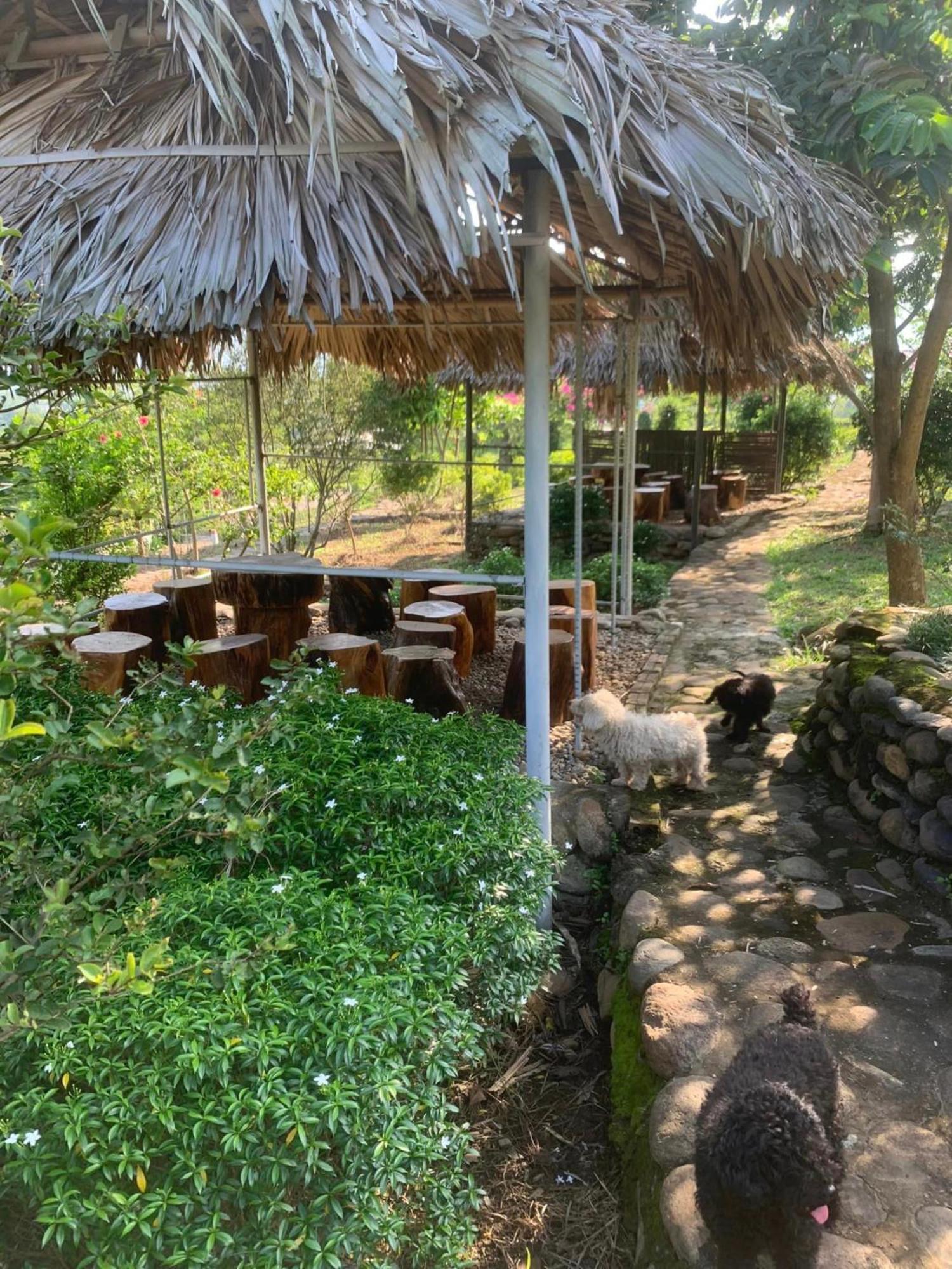 Nha Cua Mi - Mi's House * Yen Bai