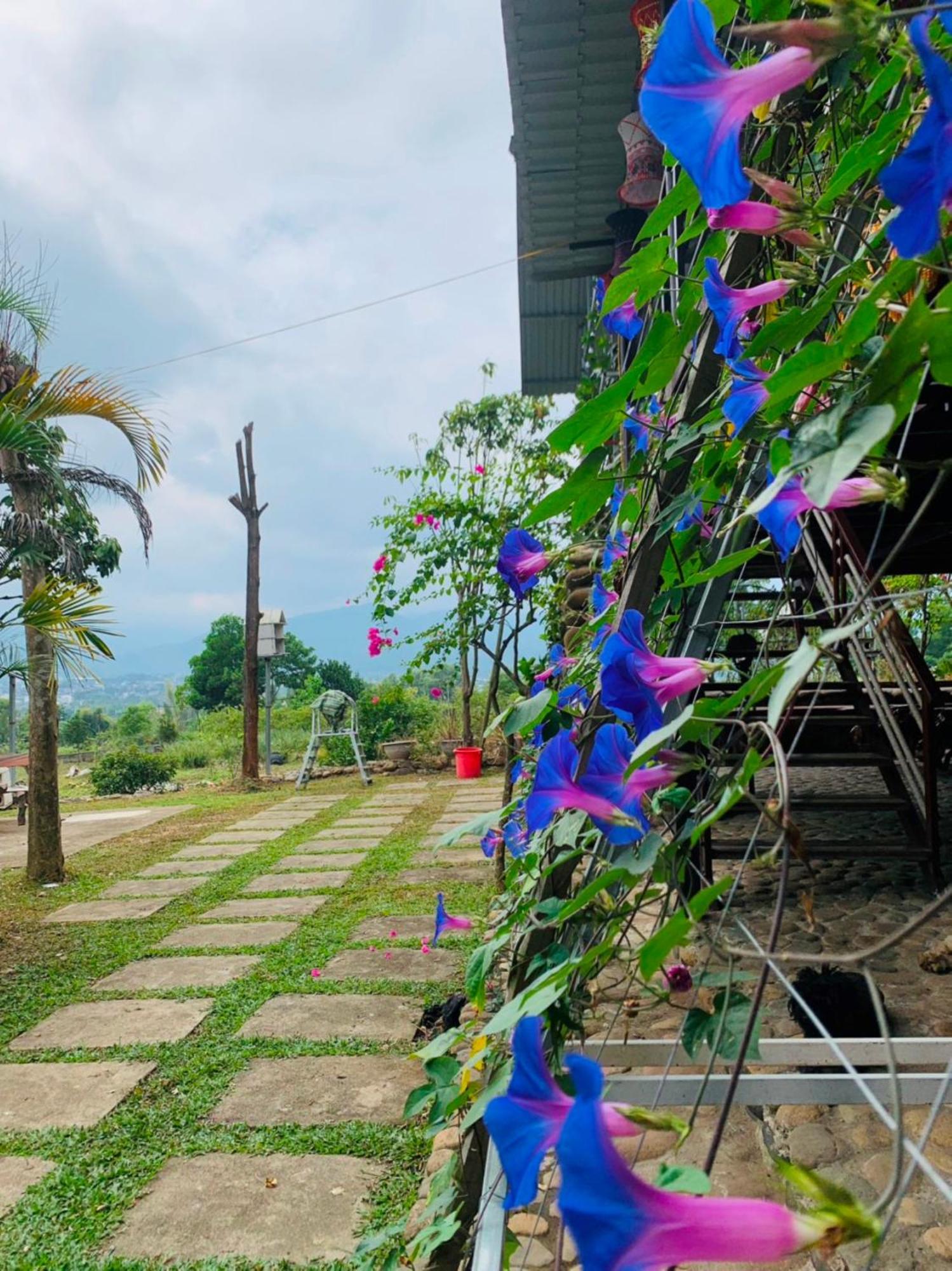 Lodge Nha Cua Mi - Mi's House Yen Bai